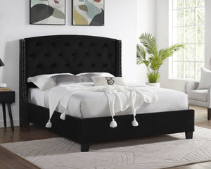 English Elm 1pc Queen Eva Upholstered Button-Tufted Demi-Wing Bed with Nailhead Trim, Vintage Black Wood Frame B011S00686