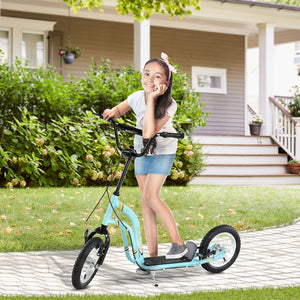 English Elm Youth Steel Frame Kick Scooter with Dual Caliper Brakes and 12 Inch Inflatable Tires W2225P155622