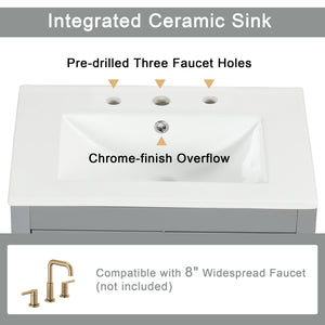 English Elm 24" Modern Bathroom Vanity with Ceramic Sink, Solid Wood & MDF Cabinet, Two Drawers, Shelf Grey N725P245273E