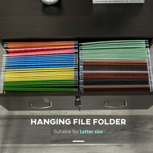 English Elm Vinsetto 2-Drawer File Cabinet With Lock, Stylish Walnut Vertical Storage For Home Office Organization W2225P156086-GIGA