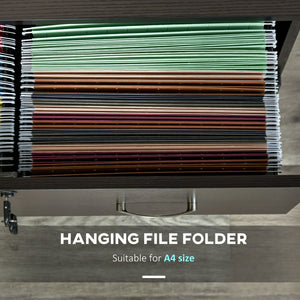 English Elm Vinsetto 2-Drawer Vertical Filing Cabinet With Lock, Space-Saving Design For Home Office Organization W2225P156114-GIGA