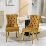 English Elm ,Nikki Collection Modern, High-End Tufted Solid Wood Contemporary Velvet Upholstered Dining Chair With Golden Stainless Steel Plating Legs,Nailhead Trim,Set Of 2,Gold, Sw1601Gl