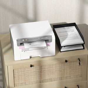 English Elm Vinsetto Stylish 2 Drawer File Cabinet With Lock, Rattan Fronts & Adjustable Bars For Organized Storage W2225P157921-GIGA