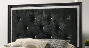 English Elm Modern Glam Upholstered Headboard Queen Bed with LED Lighting and Mirrored Accent Trim for Luxe Bedroom Décor Black 83.4 L x 40.63 W x 6.34 H B011S00741