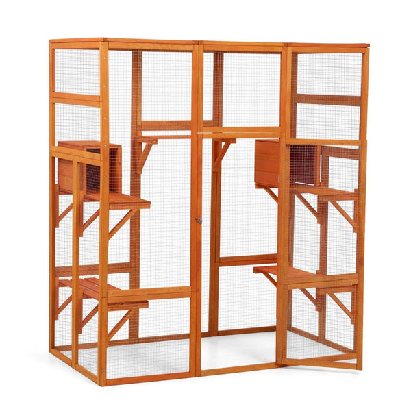 English Elm Large Outdoor Cat Enclosure Fir Wood Mesh Multi-level Habitat with Perches and Condos W2181P160607