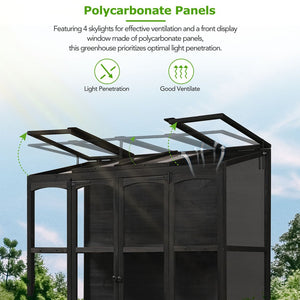 English Elm TOPMAX 78-inch Wooden Greenhouse Walk-In with 4 Skylights, 2 Folding Shelves & Anti-Fall Stability Black SP100017AAB