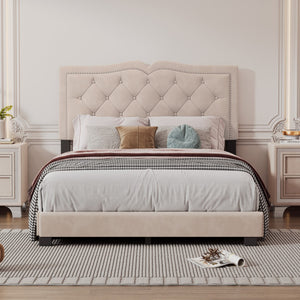 English Elm Full Size Upholstered Bed Frame With Rivet Design, Modern Velvet Platform Bed With Tufted Headboard,Beige