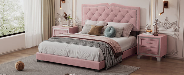 English Elm Queen Size Upholstered Bed Frame With Rivet Design, Modern Velvet Platform Bed With Tufted Headboard,Pink