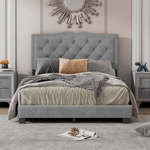 English Elm Full Size Upholstered Bed Frame With Rivet Design, Modern Velvet Platform Bed With Tufted Headboard,Gray