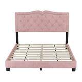 English Elm Queen Size Upholstered Bed Frame With Rivet Design, Modern Velvet Platform Bed With Tufted Headboard,Pink