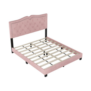 English Elm Queen Size Upholstered Bed Frame With Rivet Design, Modern Velvet Platform Bed With Tufted Headboard,Pink