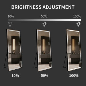 English Elm Led Lighted Floor Mirror Aluminum Frame Full Body Dressing Bedroom Standing Vanity W2071124505