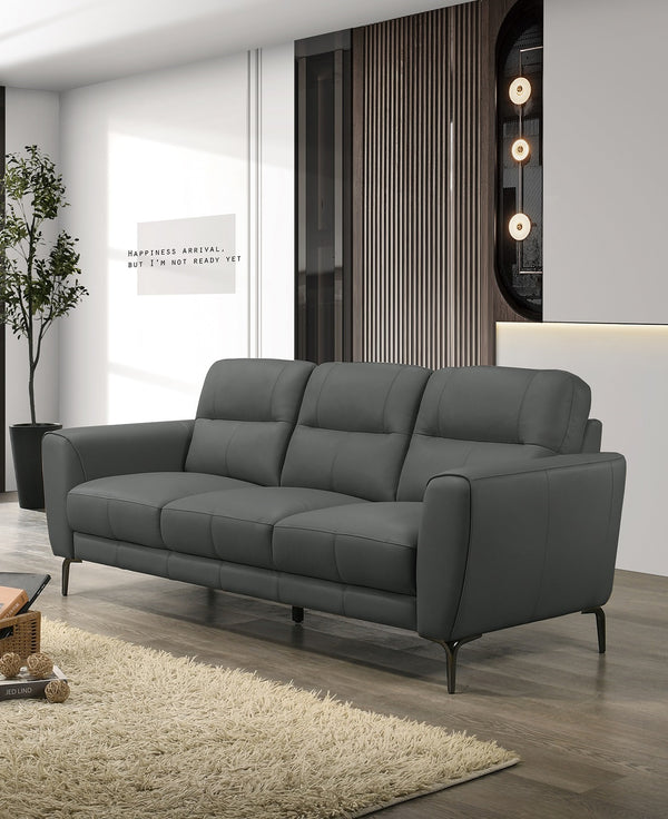 English Elm Anthracite Top Grain Leather 2pc Sofa & Loveseat Set with Tufted Cushions, Chrome Legs, Plush Comfort B011S00810