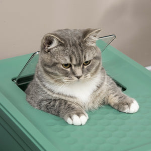 English Elm PawHut Enclosed Cat Litter Box with Scoop, Odor-Blocking Hooded Pet Toilet, Top Entry & Slide Tray Green W2225P166348