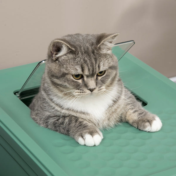 English Elm PawHut Enclosed Cat Litter Box with Scoop, Odor-Blocking Hooded Pet Toilet, Top Entry & Slide Tray Green W2225P166348