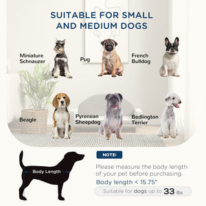 English Elm PawHut Elevated Pet Feeding Station with Storage, Removable Stainless Bowls, Ergonomic Height for Large Dogs Gray W2225P166426