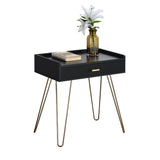 English Elm Hailey Black and Gold Wood Storage End Table