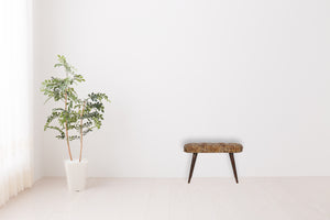 English Elm Leopard Walnut Deep Button Bench with Leopard Print Fabric Upholstery — Stylish, Versatile Accent Seat B182P166529