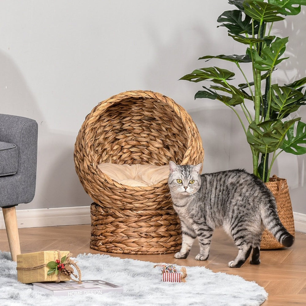 English Elm Pawhut Handwoven Elevated Cat Bed - Cozy Egg Chair Design, Plush Cushion, Stylish Indoor Kitty Retreat W2225P166440-GIGA