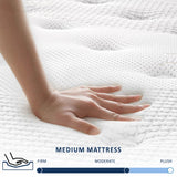 Hearth and Haven 12 Inch Twin Mattress with Pillows, Gel Memory Foam Mattress Bed in a Box, Twin Bed Mattress Individual Pocket Springs Motion Isolation, Medium Firm, Twin W2372P147722