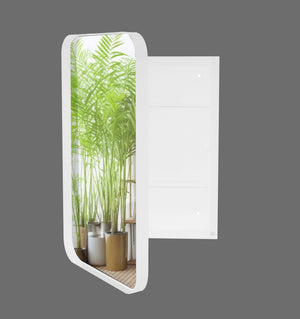English Elm 16x24 Recessed Medicine Cabinet White Metal Frame Mirrored Door with Adjustable Shelves W1435142930