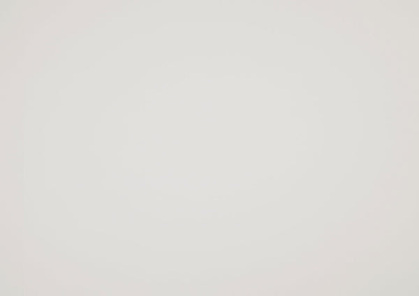 English Elm Farmhouse Twin Size Panel Bed - Classic White Wooden Frame For Cozy Modern Bedrooms & Easy Setup B011S00864