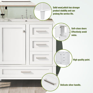 English Elm 30" Modern Bathroom Vanity with Solid Wood Frame, Ceramic Sink, Gold Handles & Soft-Close Storage White WF321698AAK