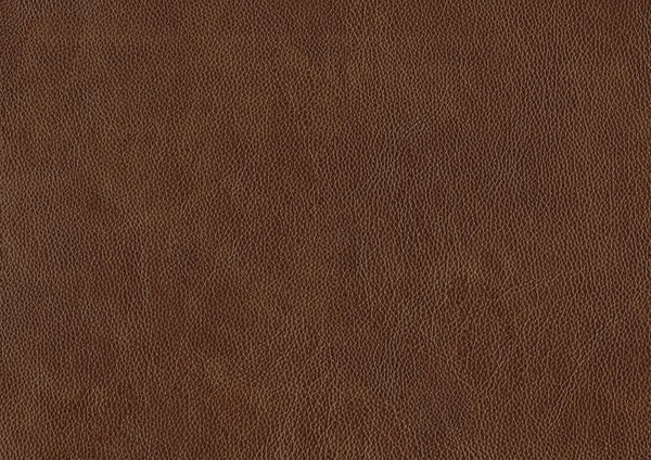 English Elm Traditional Brown Leather Accent Chair Solid Wood Frame Top-Grain Leather Nailhead Trim Cozy Modern Classic Lounge Seat 31.5x35x34 inch B011P178524