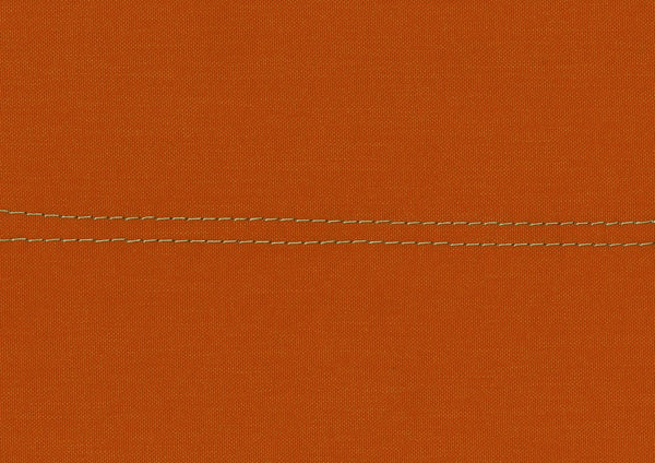 English Elm Orange Therese Fabric Daybed with Pull-Out Trundle, Nailhead Trim, Wood Frame, Twin Sleep Solution B011S00873