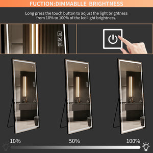 English Elm LED Mirror Full Length with Aviation Aluminum Frame, Explosion-Proof Glass, Dimmable Lights, Stand-Up W2709P178789