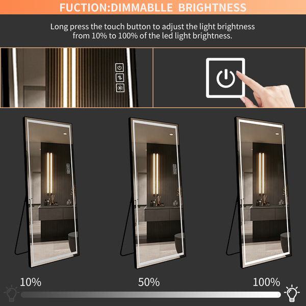 English Elm LED Mirror Full Length with Aviation Aluminum Frame, Explosion-Proof Glass, Dimmable Lights, Stand-Up W2709P178789