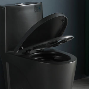 English Elm Soft-close Elongated Toilet Seat Glossy Black Antimicrobial Finish for Modern Bathrooms W1573108942