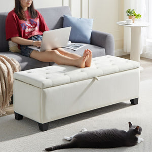 English Elm Fashion Beige Velvet Upholstered Storage Bench with Lift Top for Bedroom or Entryway W2082P176546