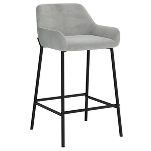Worldwide Home Furnishings Baily-26'' Contemporary Grey Velvet Counter Stool With Plush Cushioned Seat And Stylish Metal Frame Grey,Black Velvet,Metal 203-541gry