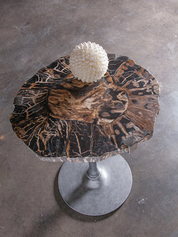 Lexington Artistica Home Kane Spot Table - Hand-forged Iron Base With Unique Petrified Wood Top For Elegant Home Décor Natural Iron Wood 2035-954