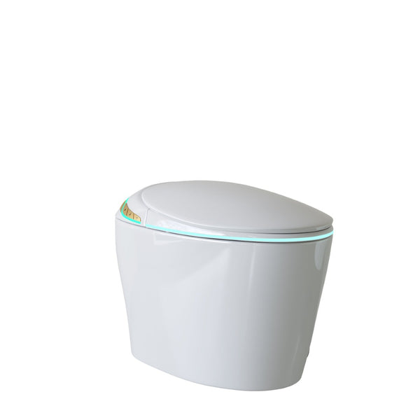 English Elm Unique Smart One Piece Toilet Bidet Heated Seat Auto Flush Warm Air Dryer Spa W3133P384811