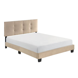 English Elm 1pc Full Platform Bed Newberry Brown Velvet Upholstered Button-Tufted Adjustable Headboard, Solid Wood Frame Light Brown 60 L x 26 W x 5 H B011P203574