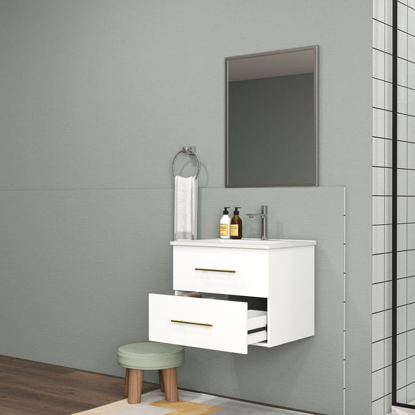English Elm 24-Inch Wall-Mounted Bathroom Vanity & Mirror Set With Gold Handles, Space-Saving Design, Easy Install W3151S00039