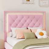 English Elm Twin Size Upholstered Bed Frame With Led Lights,Modern Velvet Platform Bed With Tufted Headboard,Pink