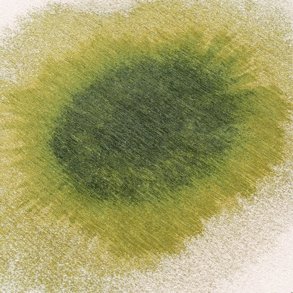 Louis de Poortere Meditation Collection Drop Low Pile Area Rug with Bold Artistic Motif for Modern Interiors Green Pepper 6'7 x 9'2 120231