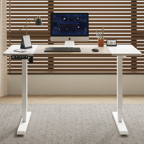 English Elm 55"×24" Electric Sit Stand Desk Steel Frame with Memory Presets and Usb-c Charging Port Oak Natural Wood + Antique White W614P376314