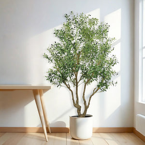 English Elm 8ft Artificial Olive Tree with Natural Wood Trunk Faux Fruit and Lifelike Foliage W2945P458768