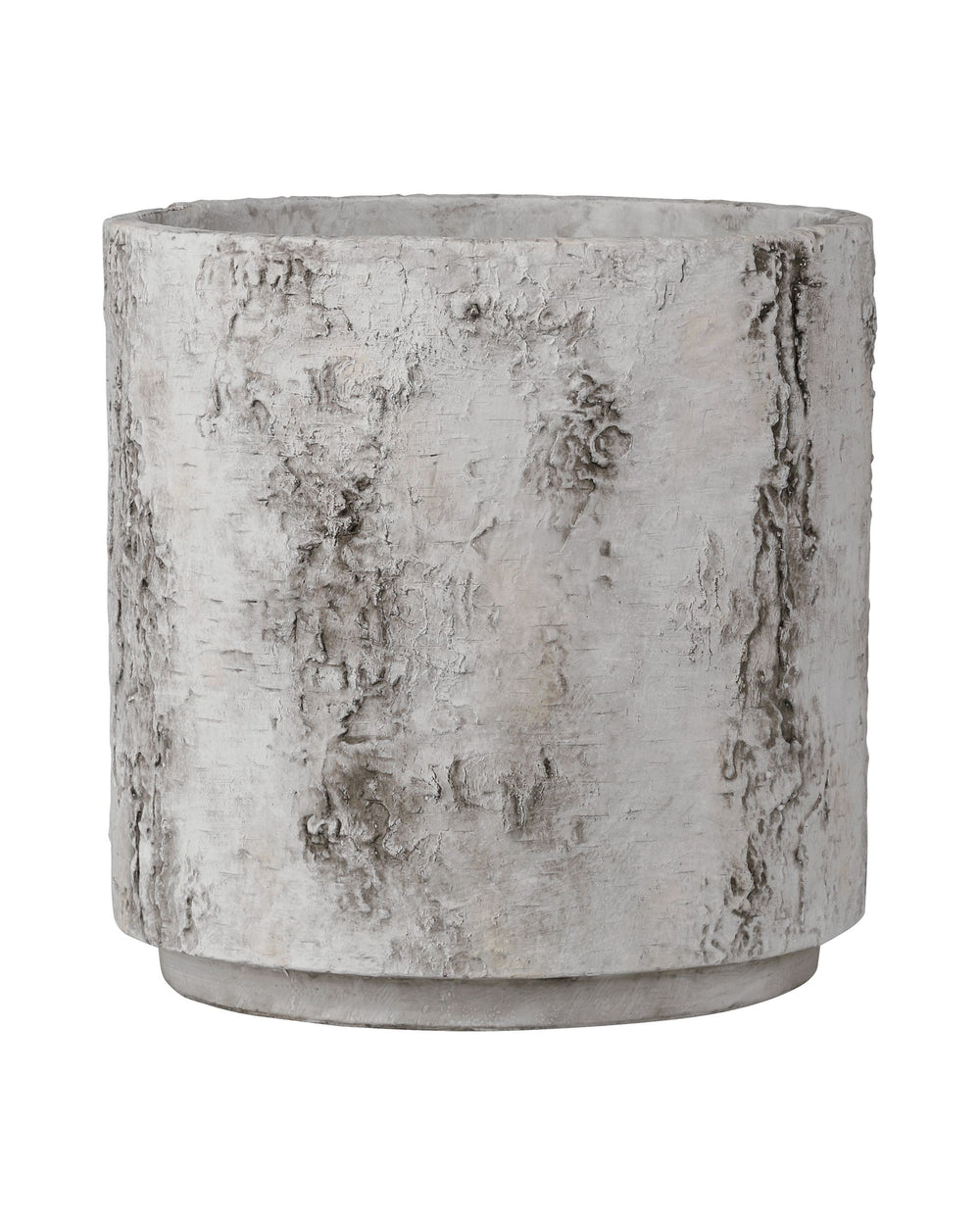 Currey & Company Faux Birch Bark Fiber Cement Planter with Raised Veining for Indoor or Patio Use 2200-0054