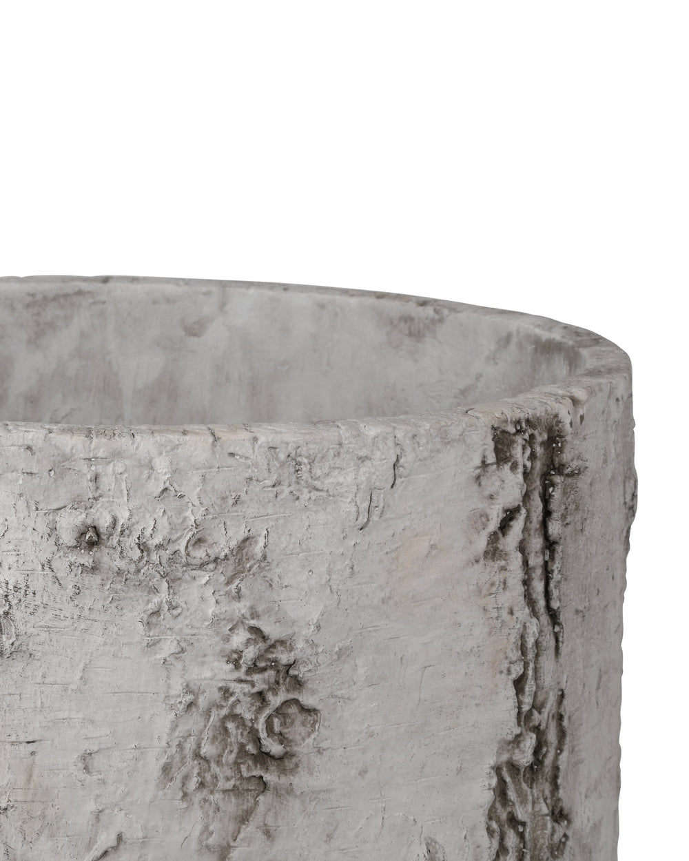 Currey & Company Faux Birch Bark Fiber Cement Planter with Raised Veining for Indoor or Patio Use 2200-0054