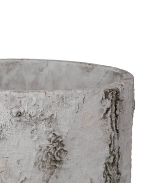 Currey & Company Faux Birch Bark Fiber Cement Planter with Raised Veining for Indoor or Patio Use 2200-0054