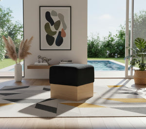 Meridian Furniture Havre Plush Velour Fur Cube Ottoman with Art Deco Base for Living Room Accent Piece Black A 22074Black