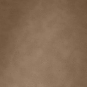 Meridian Furniture Willow Upholstered Bench with Iron Frame for Bedroom Entryway or Living Room Accent Seating Vegan Leather Brown 22096Brown