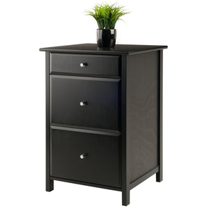 Winsome Wood Delta Home Office File Cabinet - Sleek Black Design With Ample Storage For Files & Essentials Black Composite Wood 22321-winsome-wood