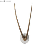 Gazelle Horns Dimensional Wall Art - Ecru 225026 Elk Home