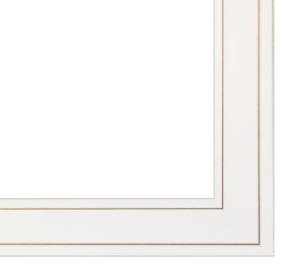 English Elm "natures / Bath" Botanical Line Art Two Piece Framed Set for Elegant Bathroom Walls B06787134